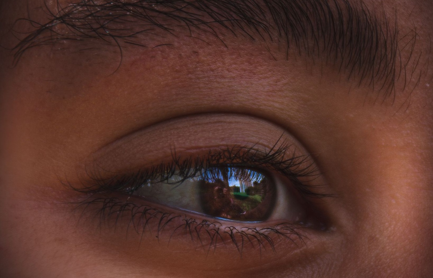 320 Hour Lash Specialty License