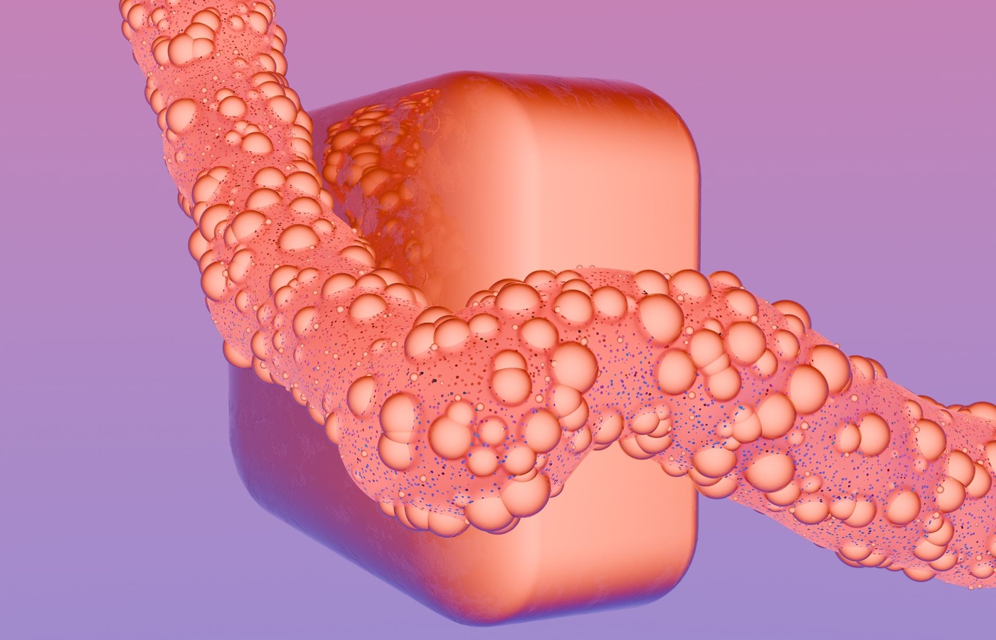 A2 Genetic Control of Proteins and Control of Gene Expression