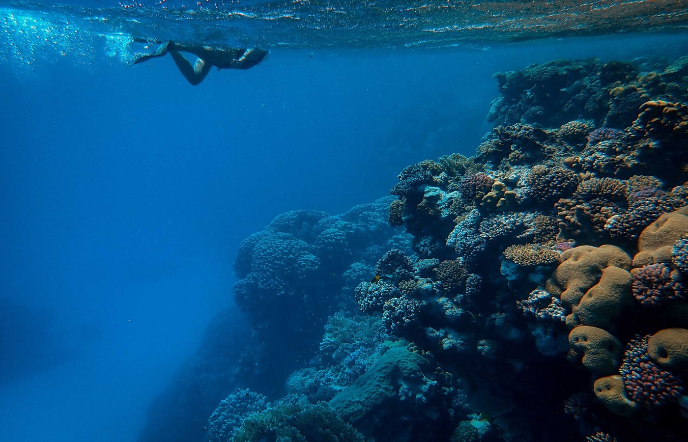 ADC Diving Safety and Procedures