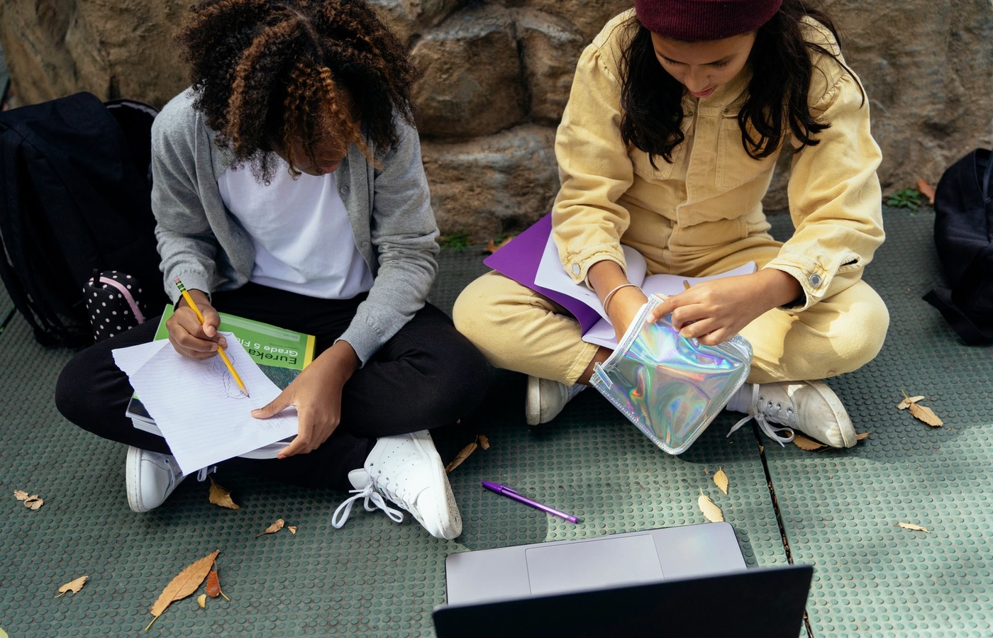 Adolescence and Developmental Psychology