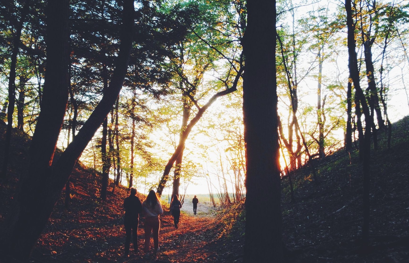 Adventure Experiences, Incorporated Level 1 Certification