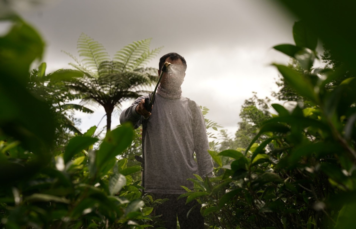 Agriculture Weed Control (Category 103)