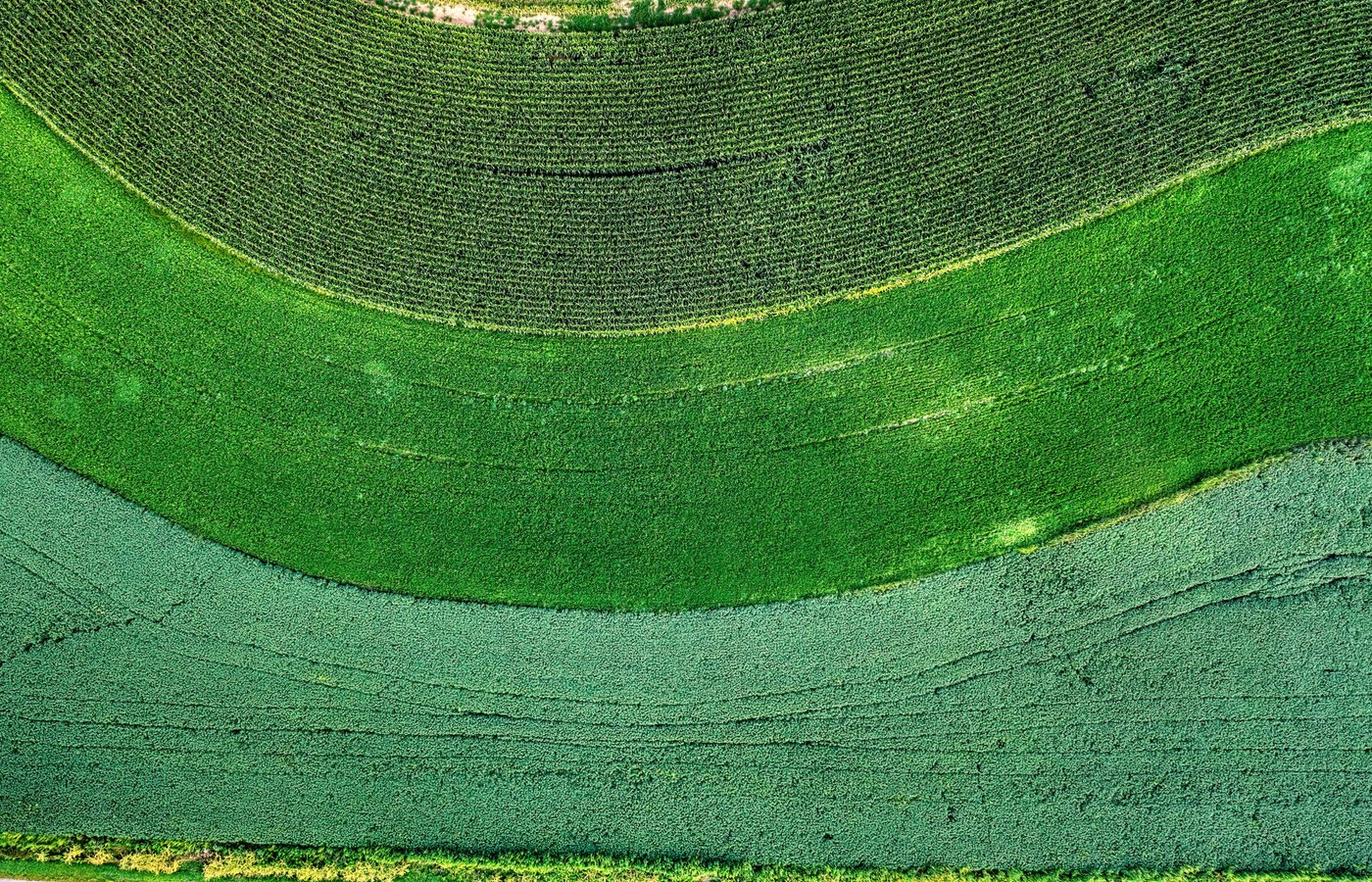 Agritech 2 Certification