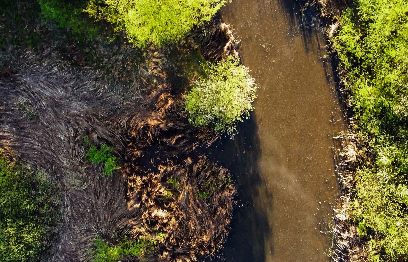 AICE Environmental Case Studies