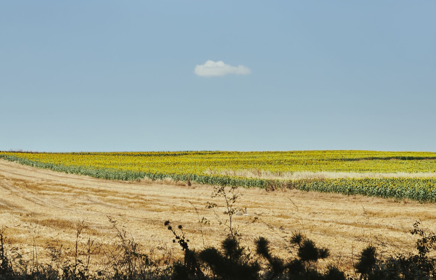 A1 Field Crops Pest Management