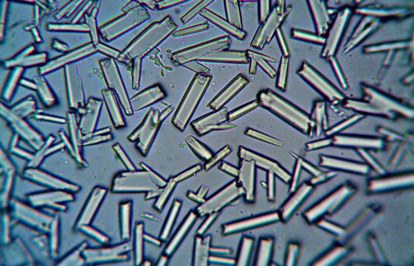 AIM Materials and Processing