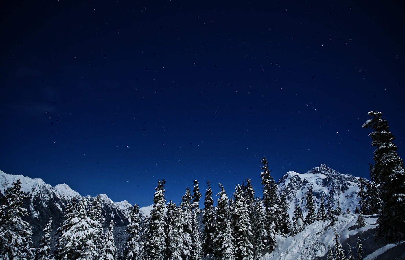 Alaska Security Guard Certification Practice