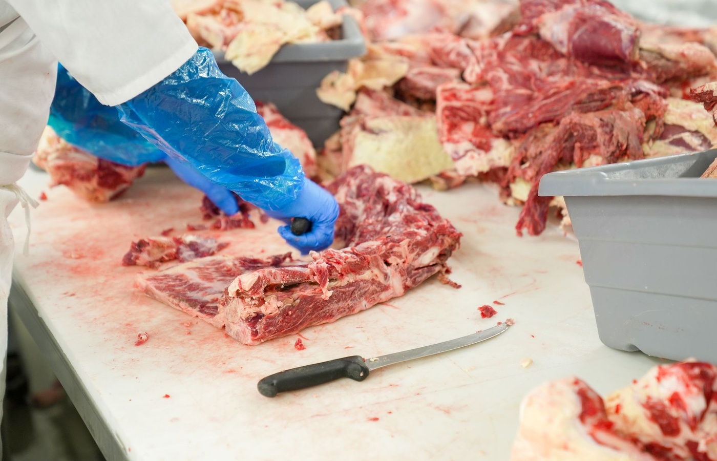 Always Food Safe Management