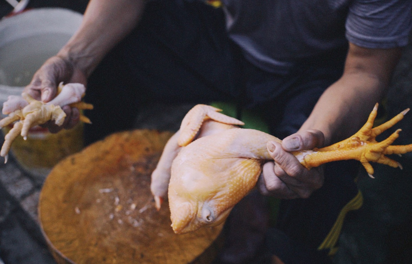 AMSA Culinary Meat Selection & Cookery Certification