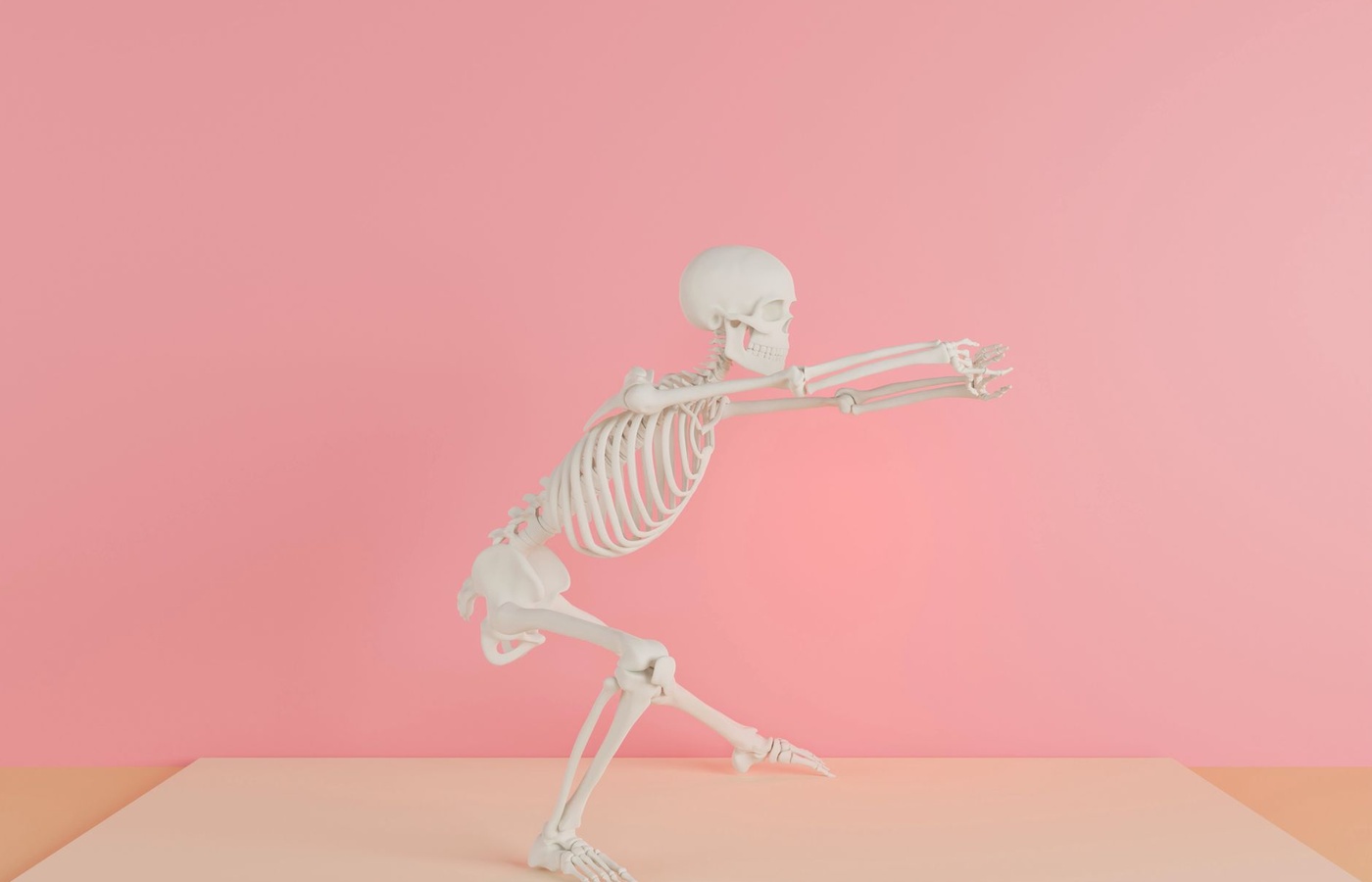 Anatomy Connect