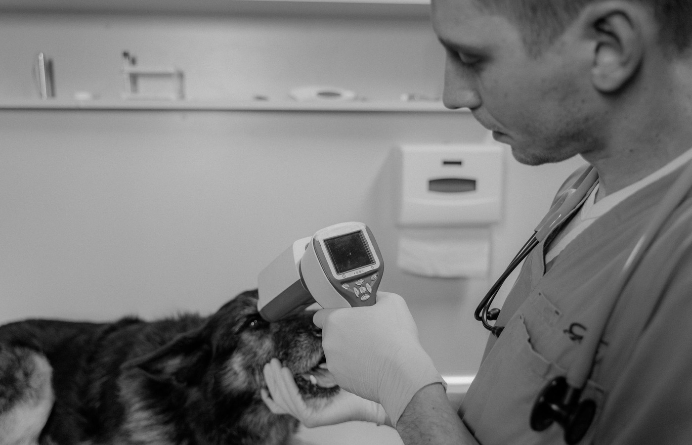 Companion Animal Parasite Council (CAPC)