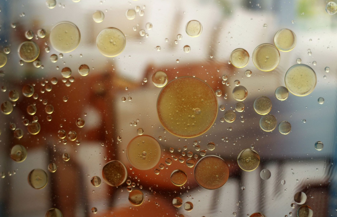Antimicrobial Susceptibility Testing and Rapid Diagnostics