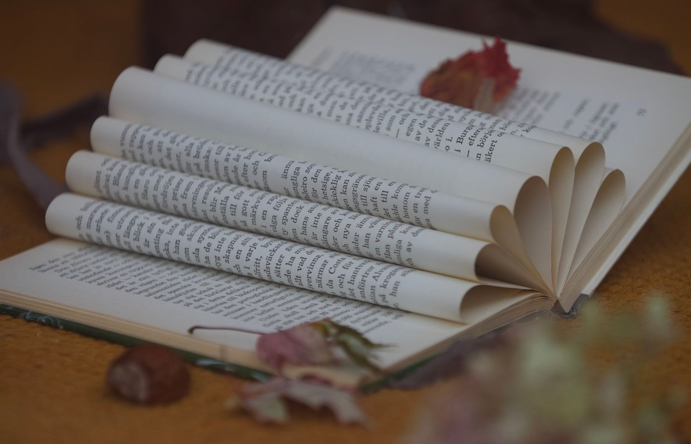 AP English Literature and Composition – Literary Terms