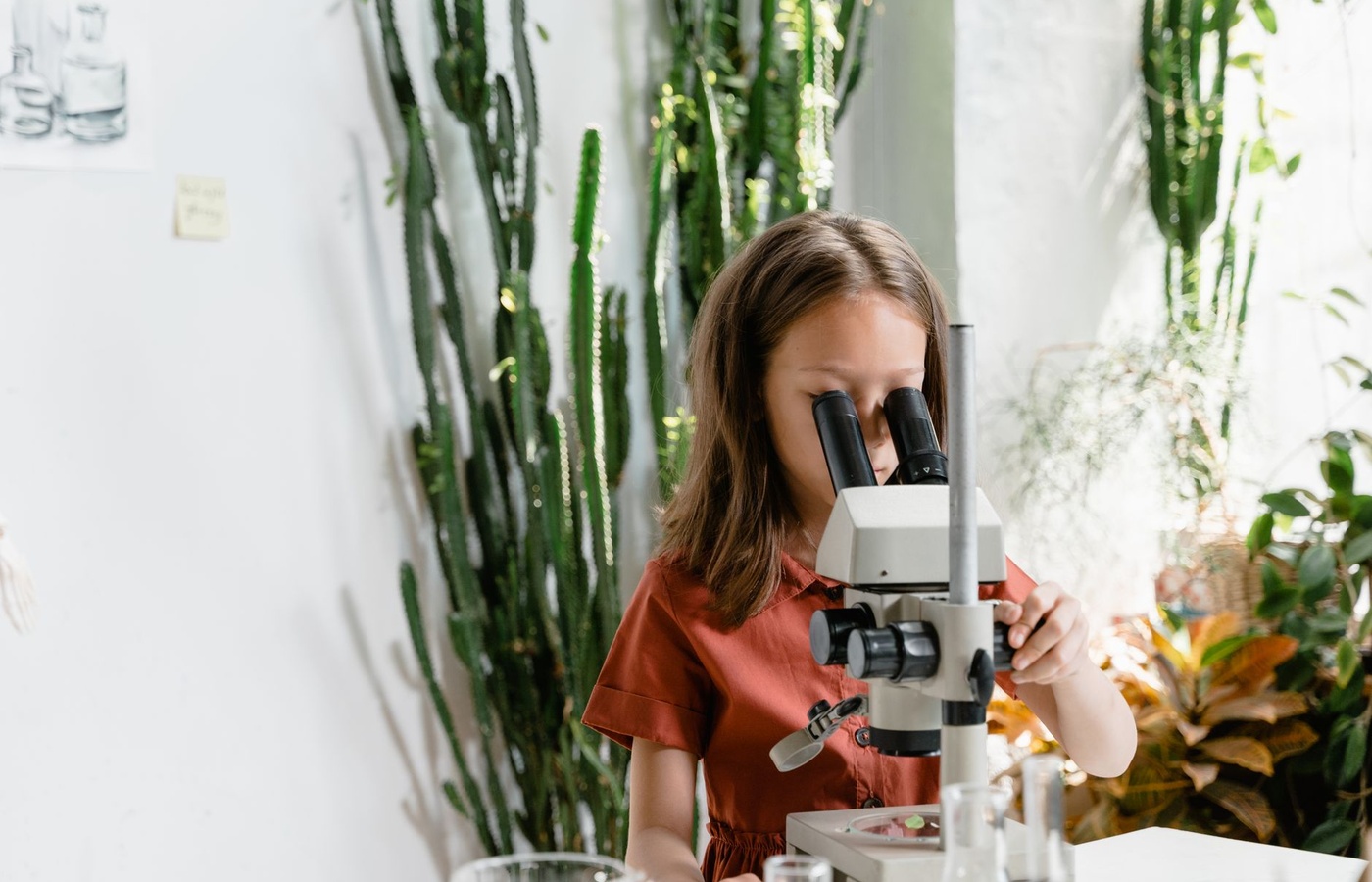 Assessment and Qualifications Alliance (AQA) GCSE Biology Paper 2