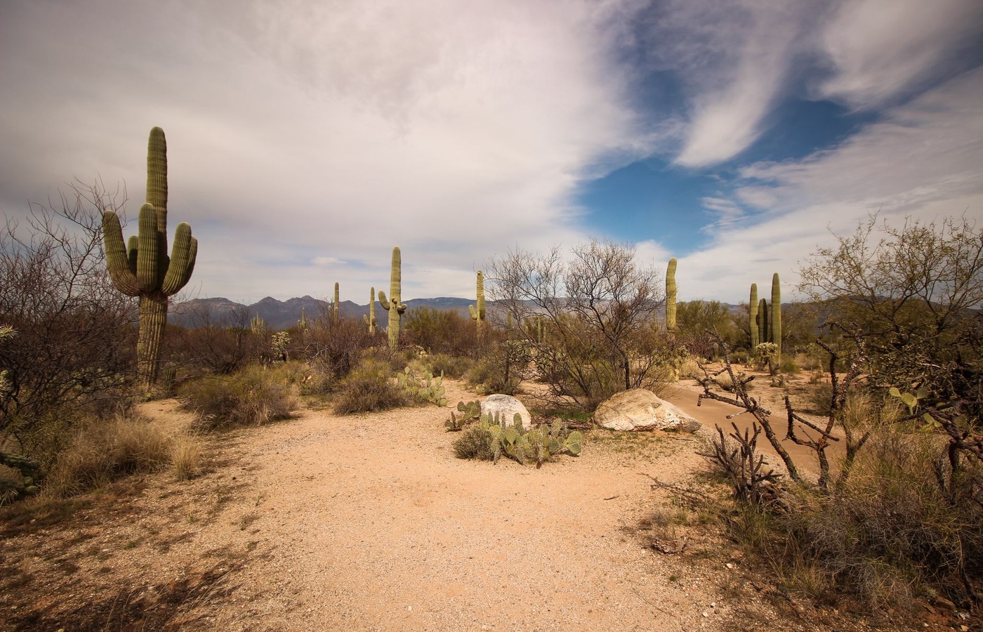 Arizona Notary