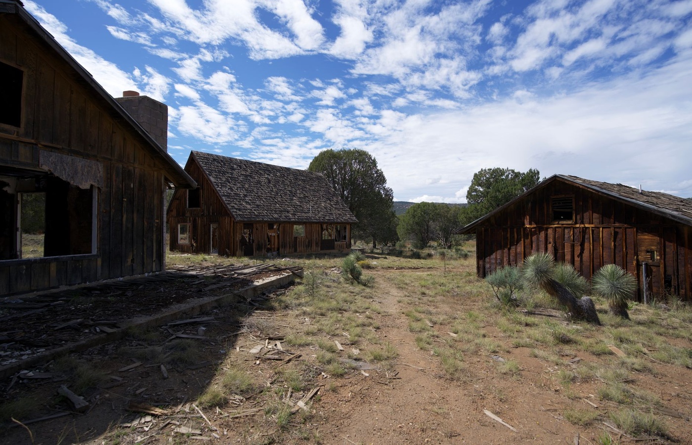 Arizona Real Estate License
