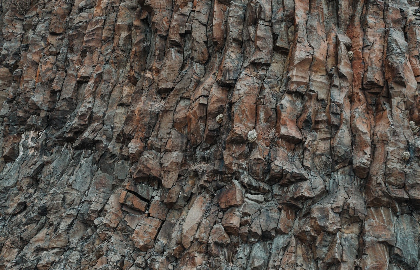 ASBOG Fundamentals of Geology (FG)