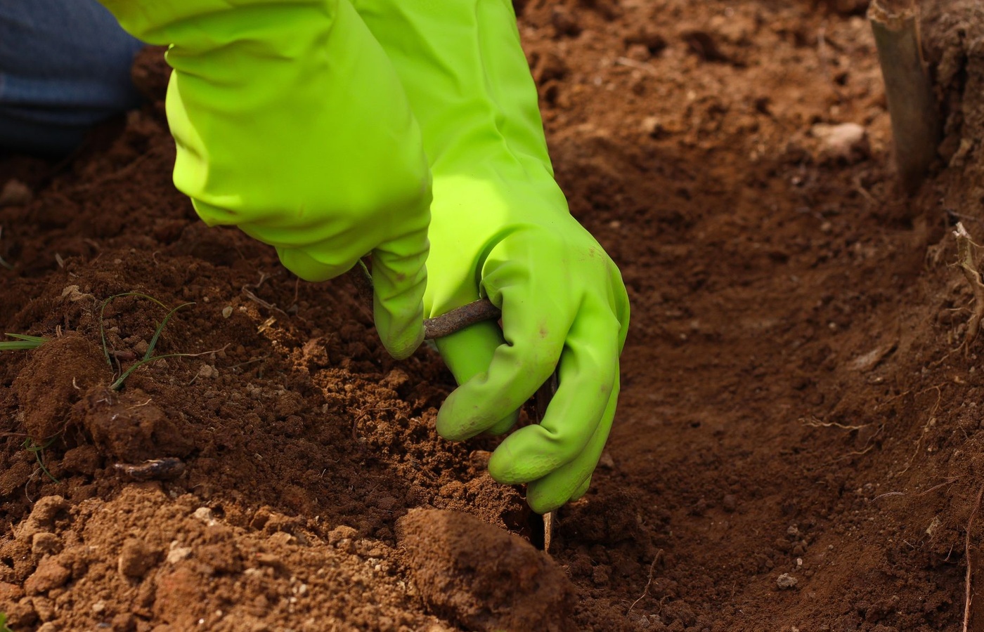 Associate Environmental Professional Certification