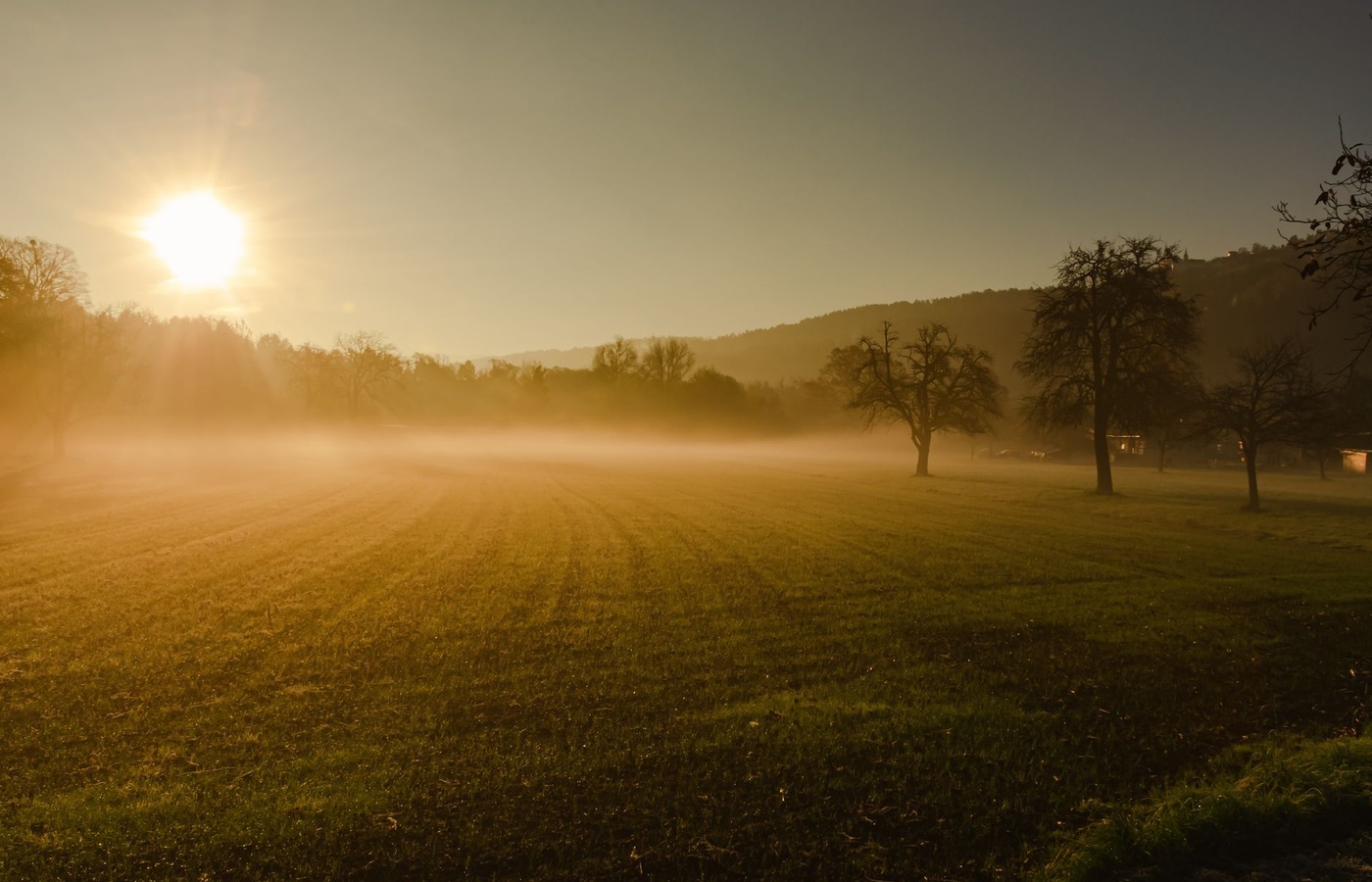 Associates of Agriculture (AG) Certification