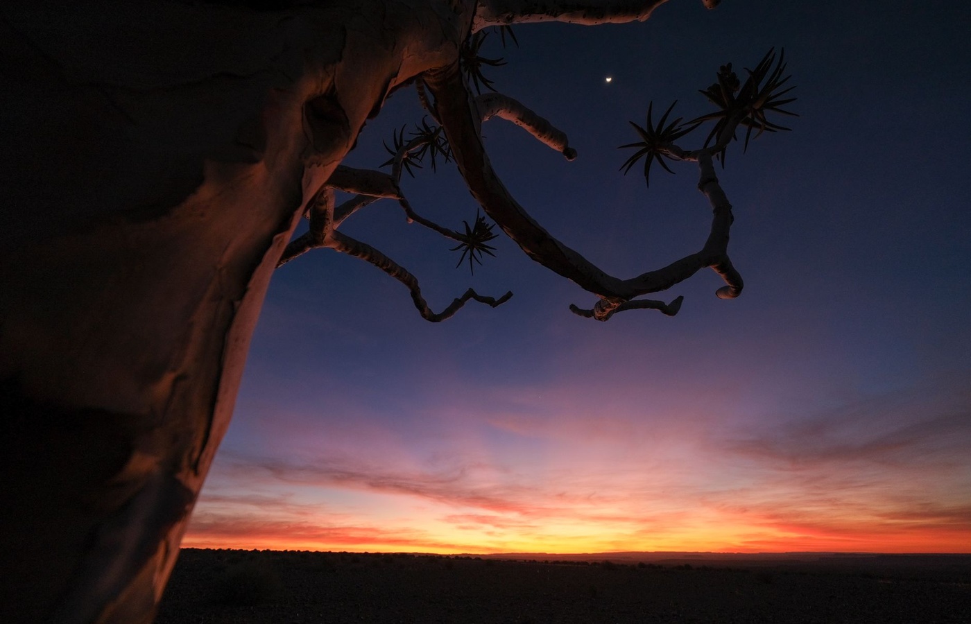 Arizona State University (ASU) ASB353 Death and Dying in Cross-Cultural Perspective