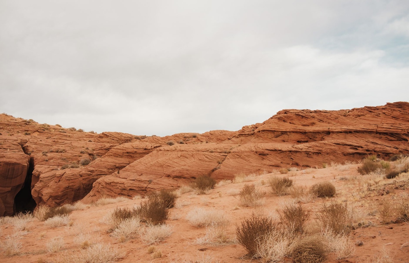 Arizona State University (ASU) BIO182 General Biology II Exam 2 Practice