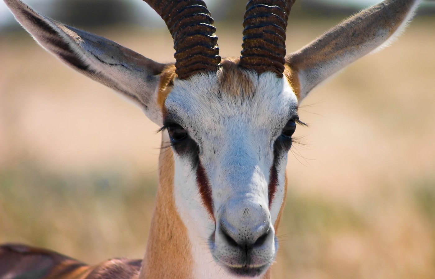 Arizona State University (ASU) BIO360 Animal Physiology Exam 1 Practice