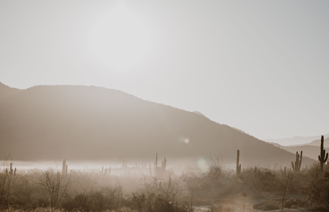 Arizona State University (ASU) CSE240 Introduction to Programming Languages Midterm