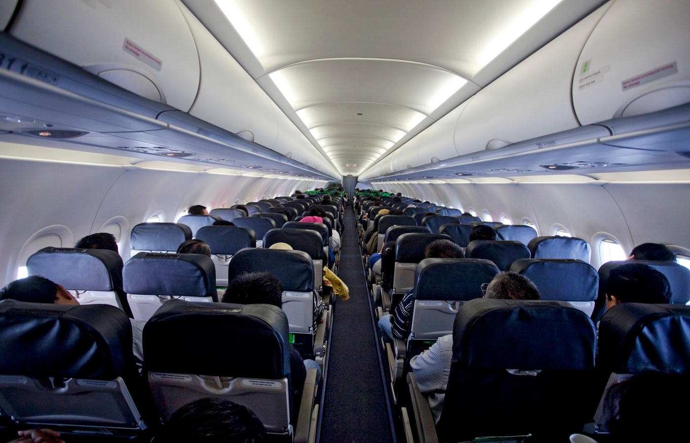 Avelo Airlines Flight Attendant