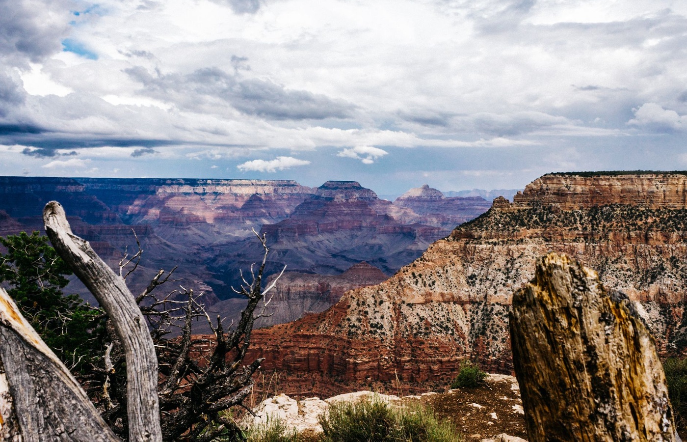 Arizona Appraiser Licensing