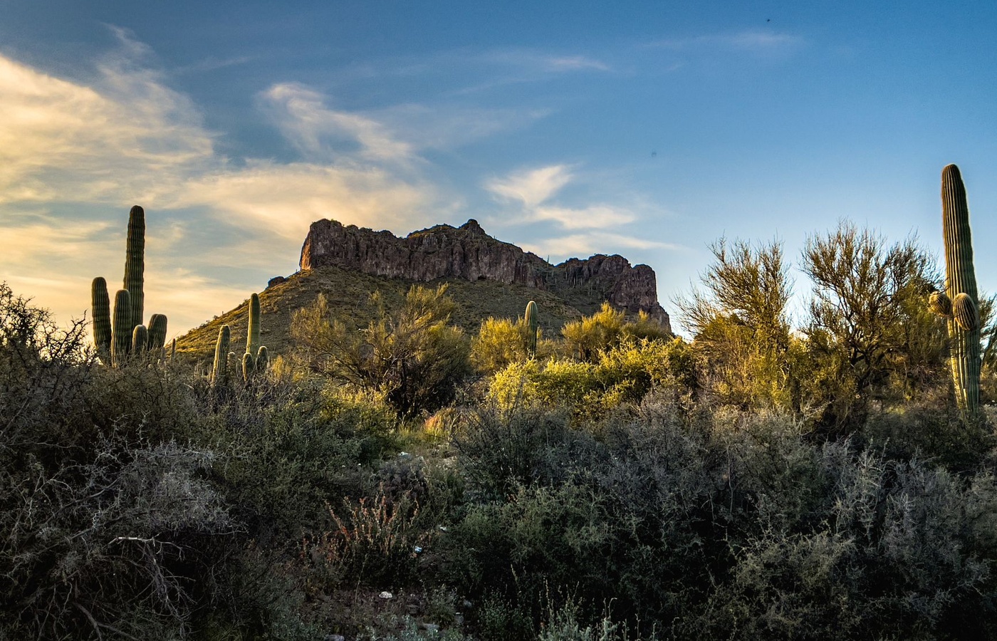 State of Arizona Board of Chiropractic Laws and Rules