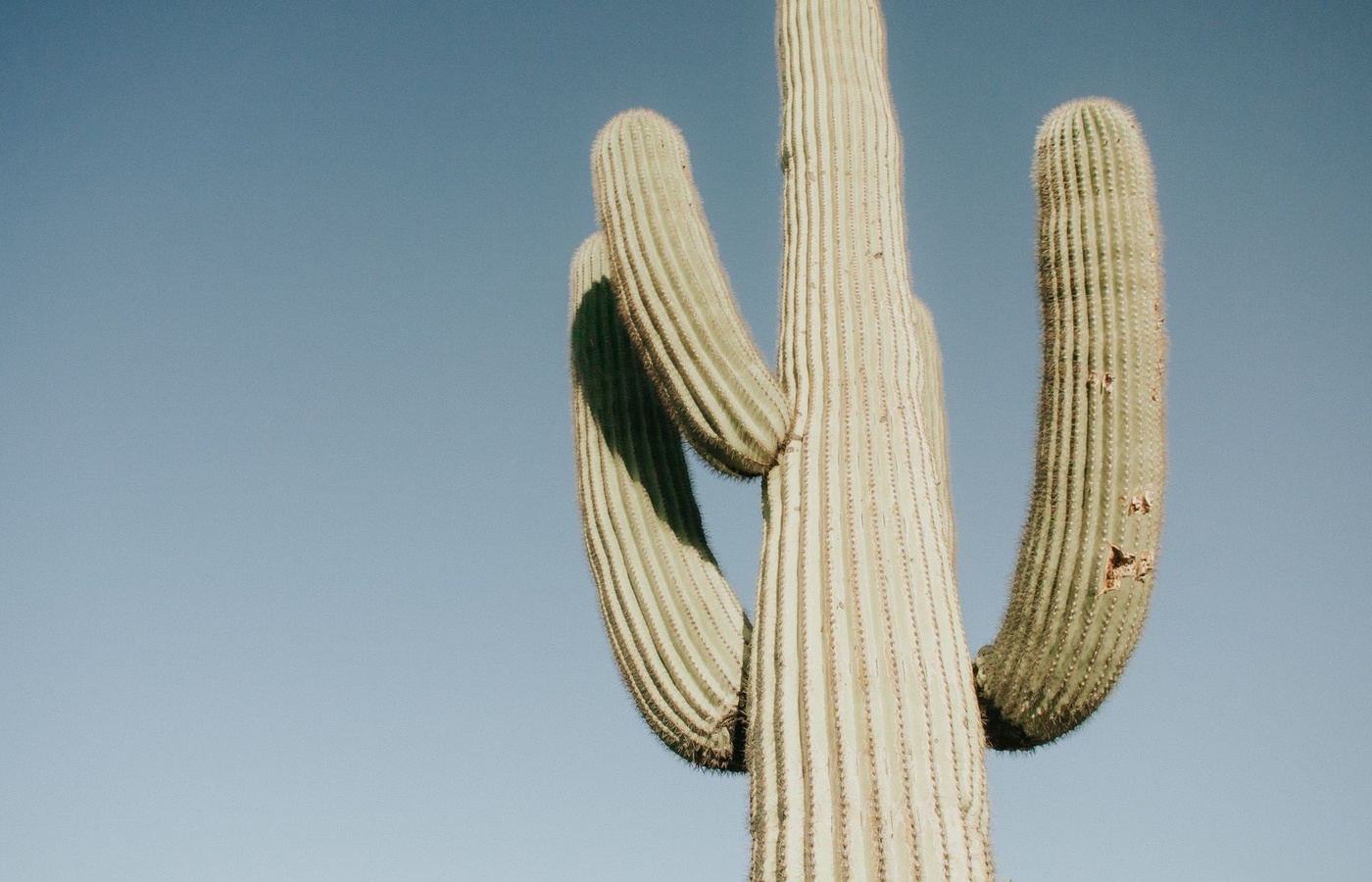 Arizona Legal Document Preparer Certification