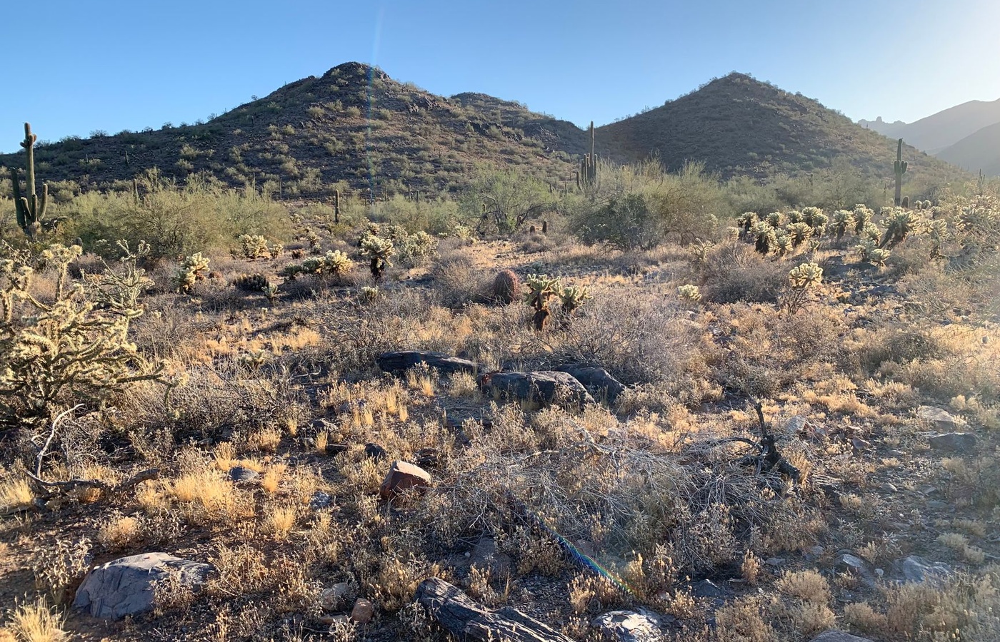 Arizona Salesperson