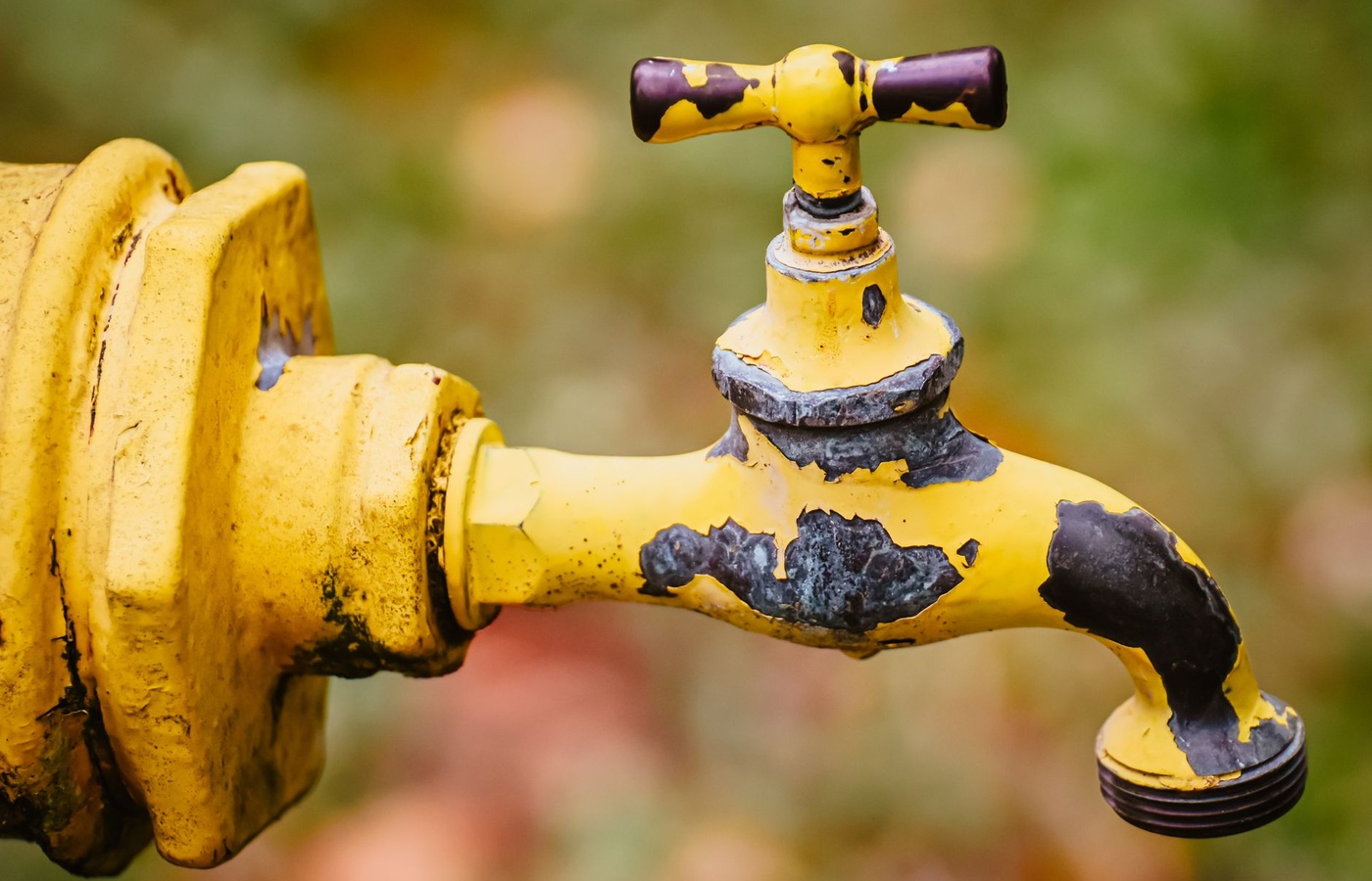 Backflow Prevention