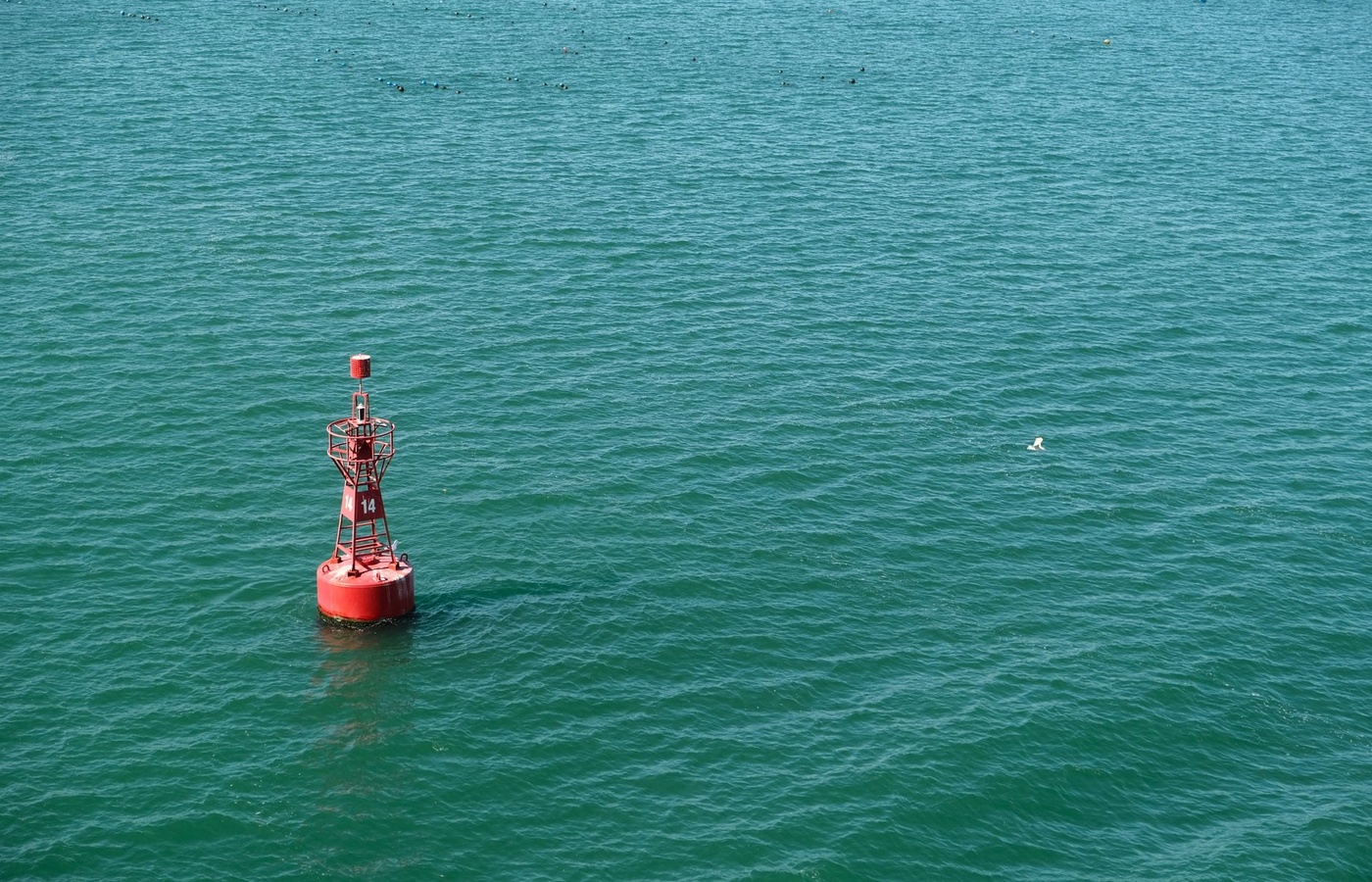 BDOC Navigation and Seamanship (NSS)