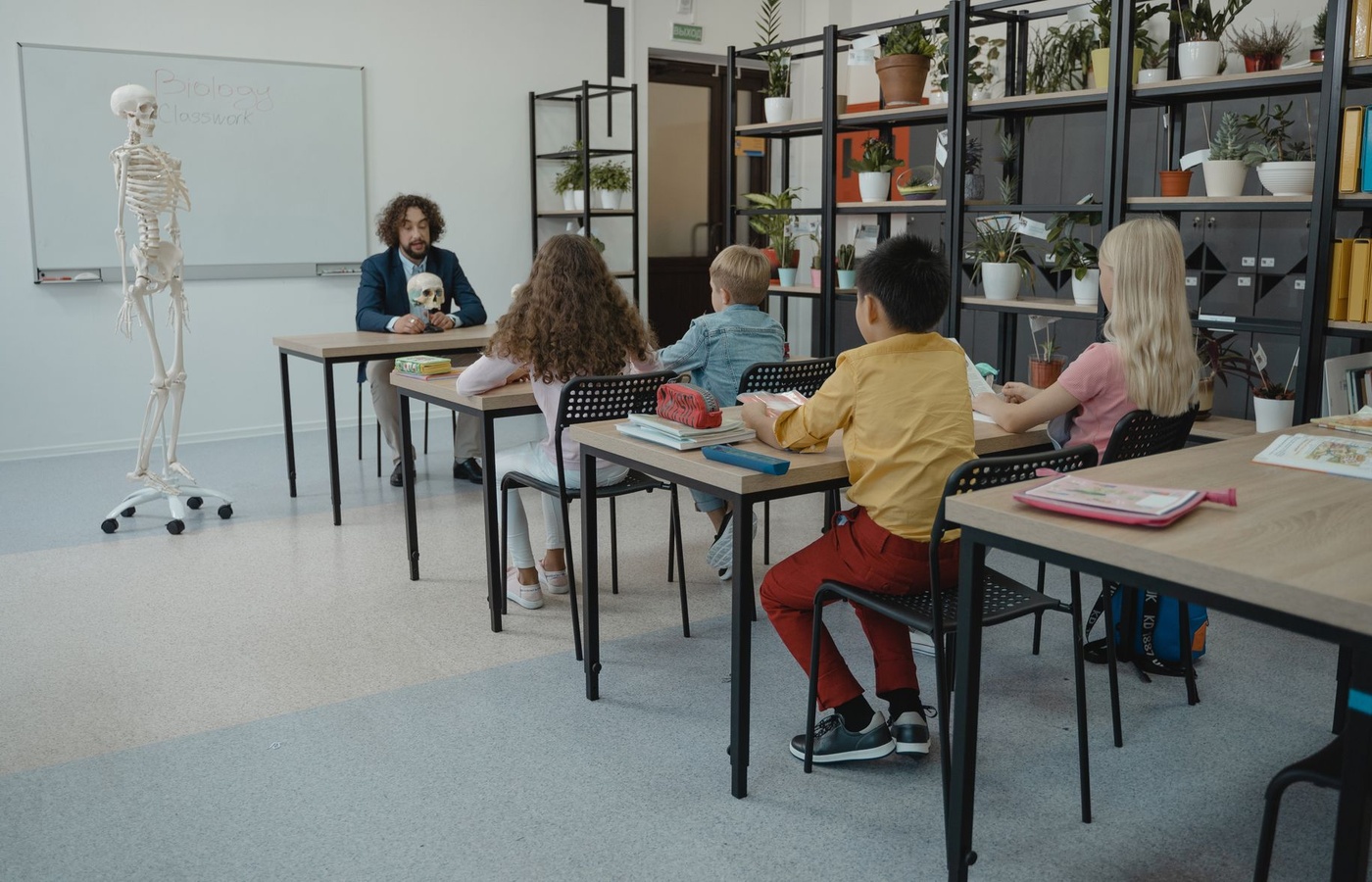 Examzify course visual