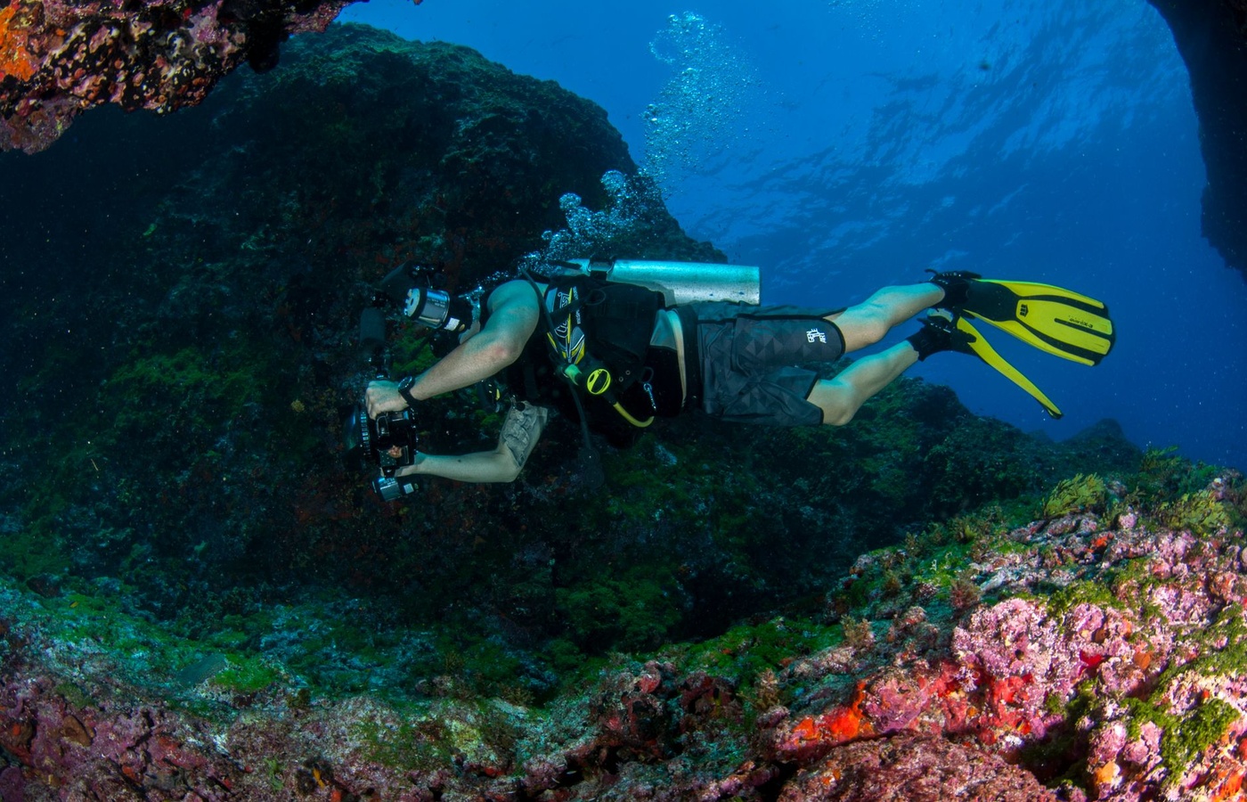 Beginner Scuba Certification