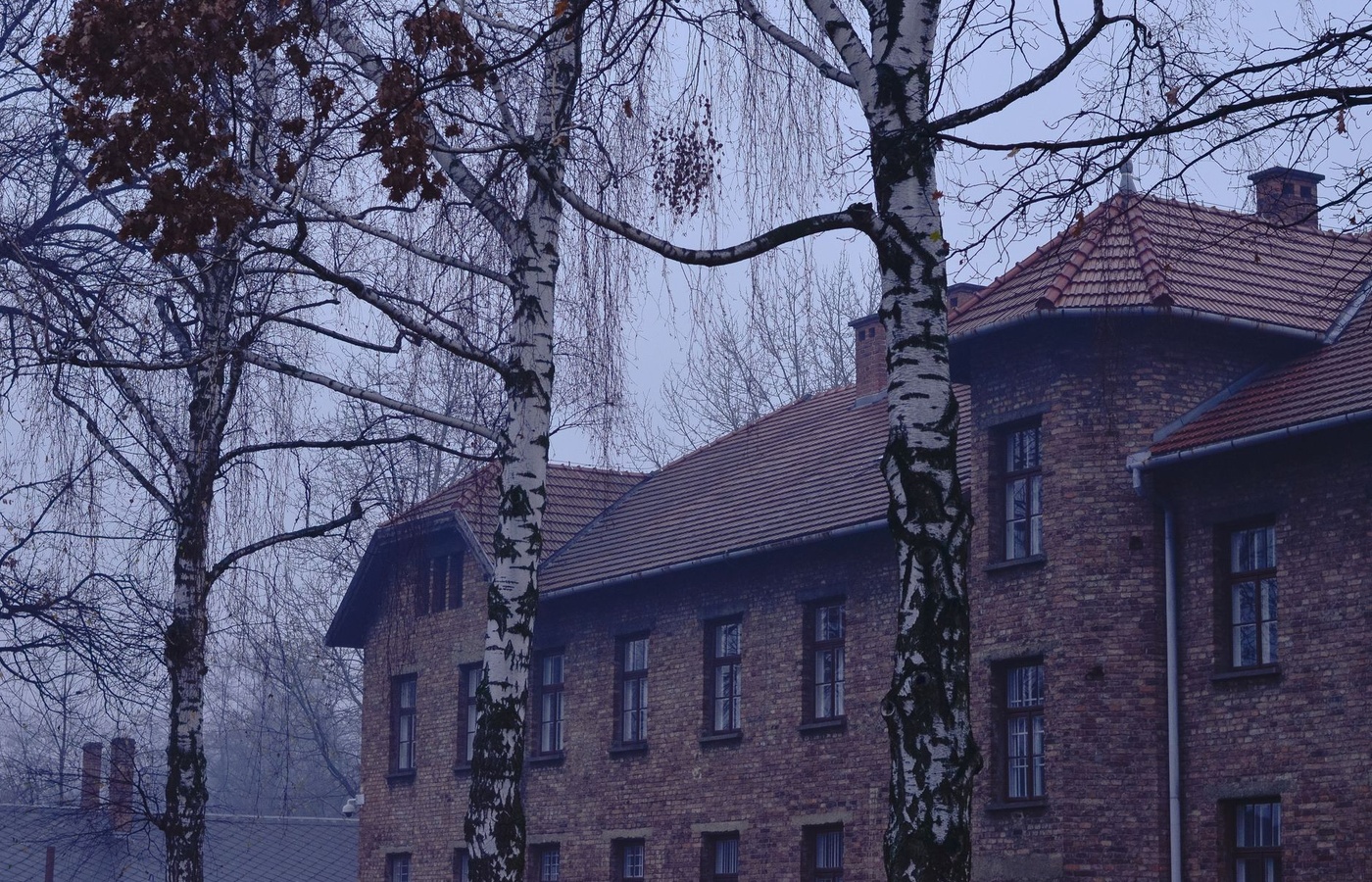 Examzify course visual