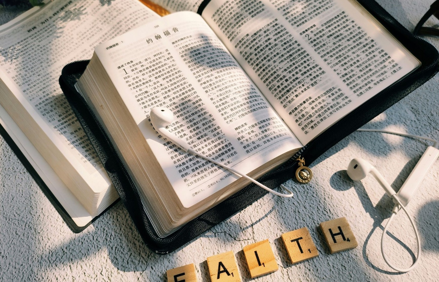 Bible Fencing
