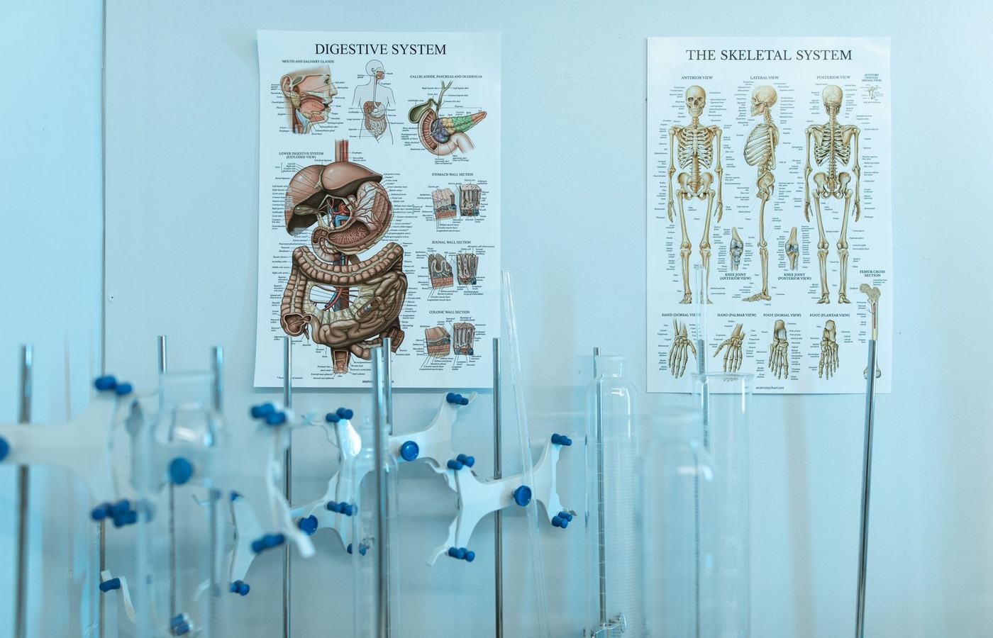 Examzify course visual