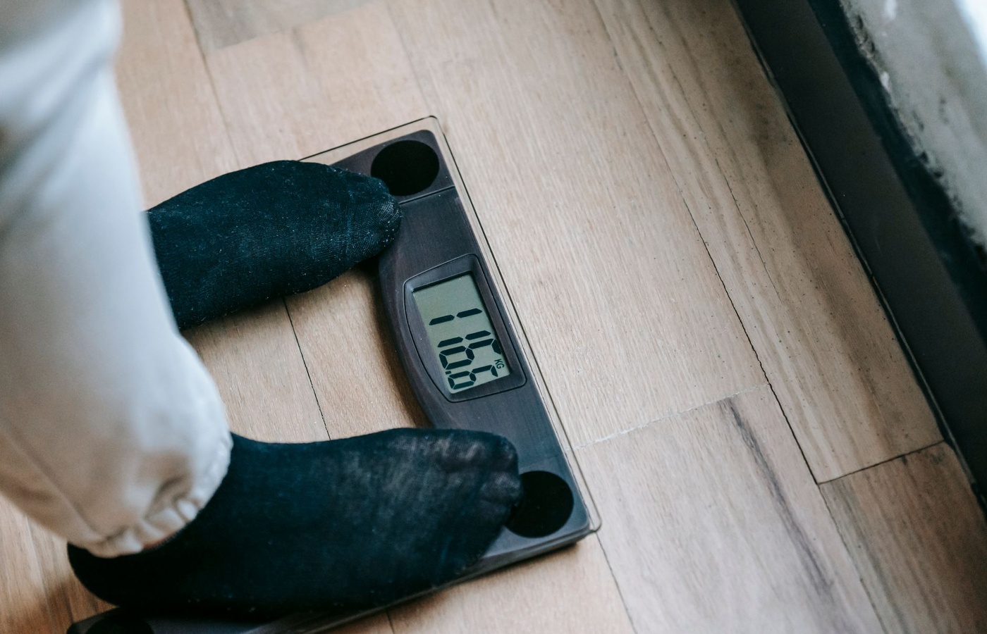 Body Composition Program