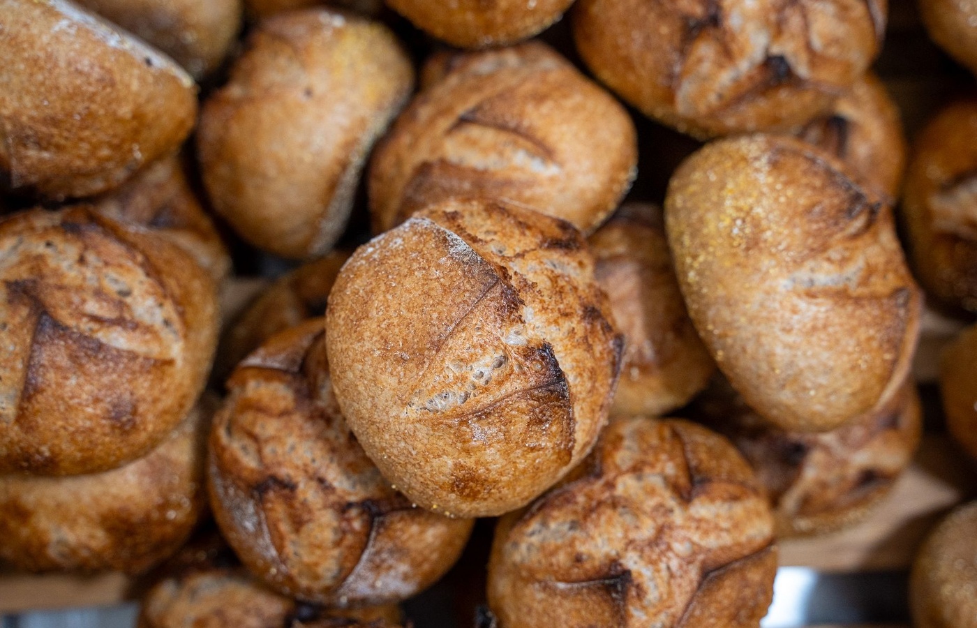 BPA 1740 Artisan Bread & Viennoiserie II