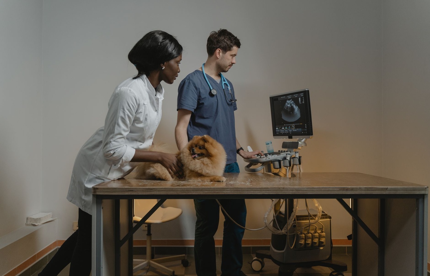 Examzify course visual