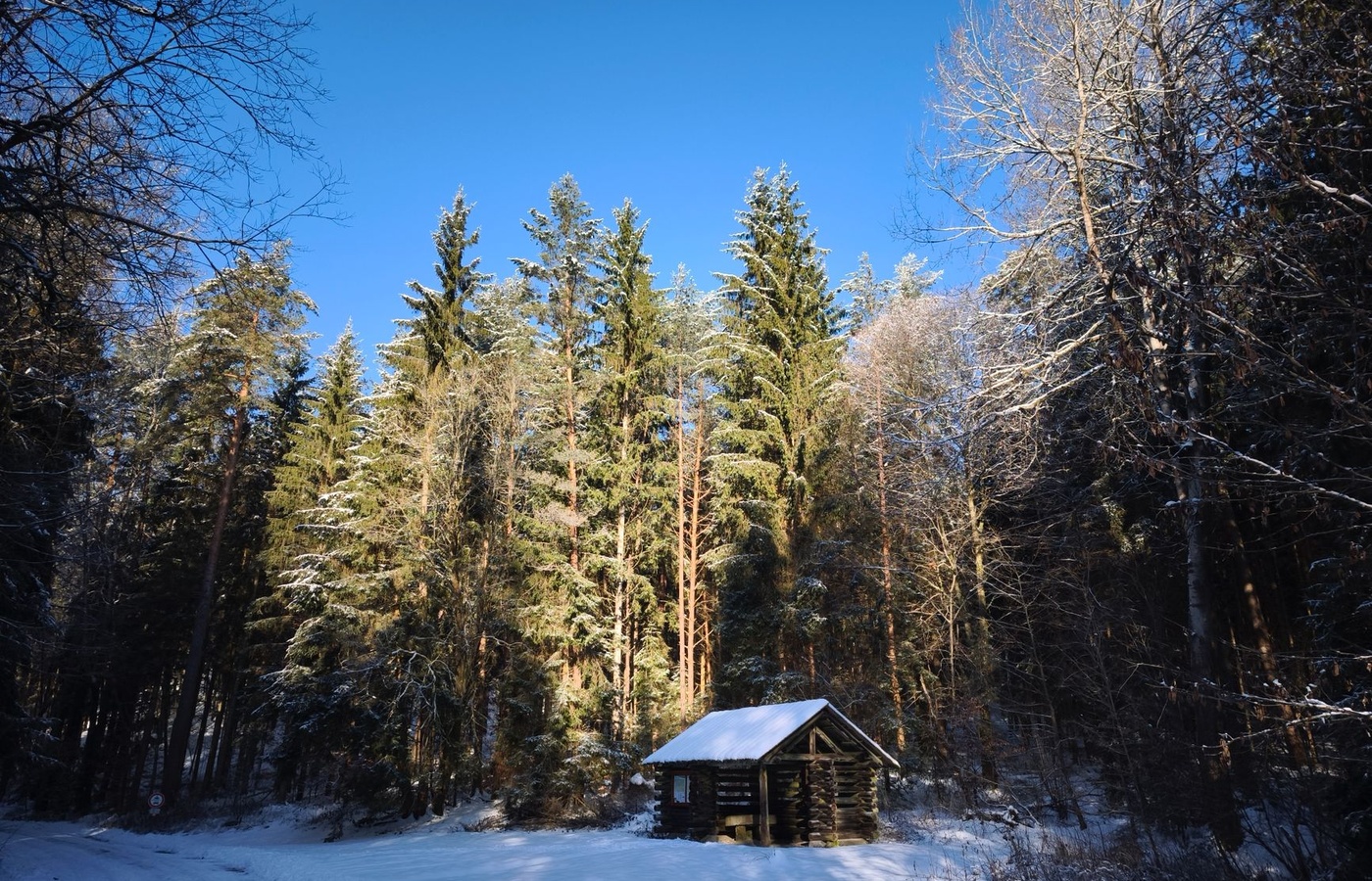 Cabin Experience Agent