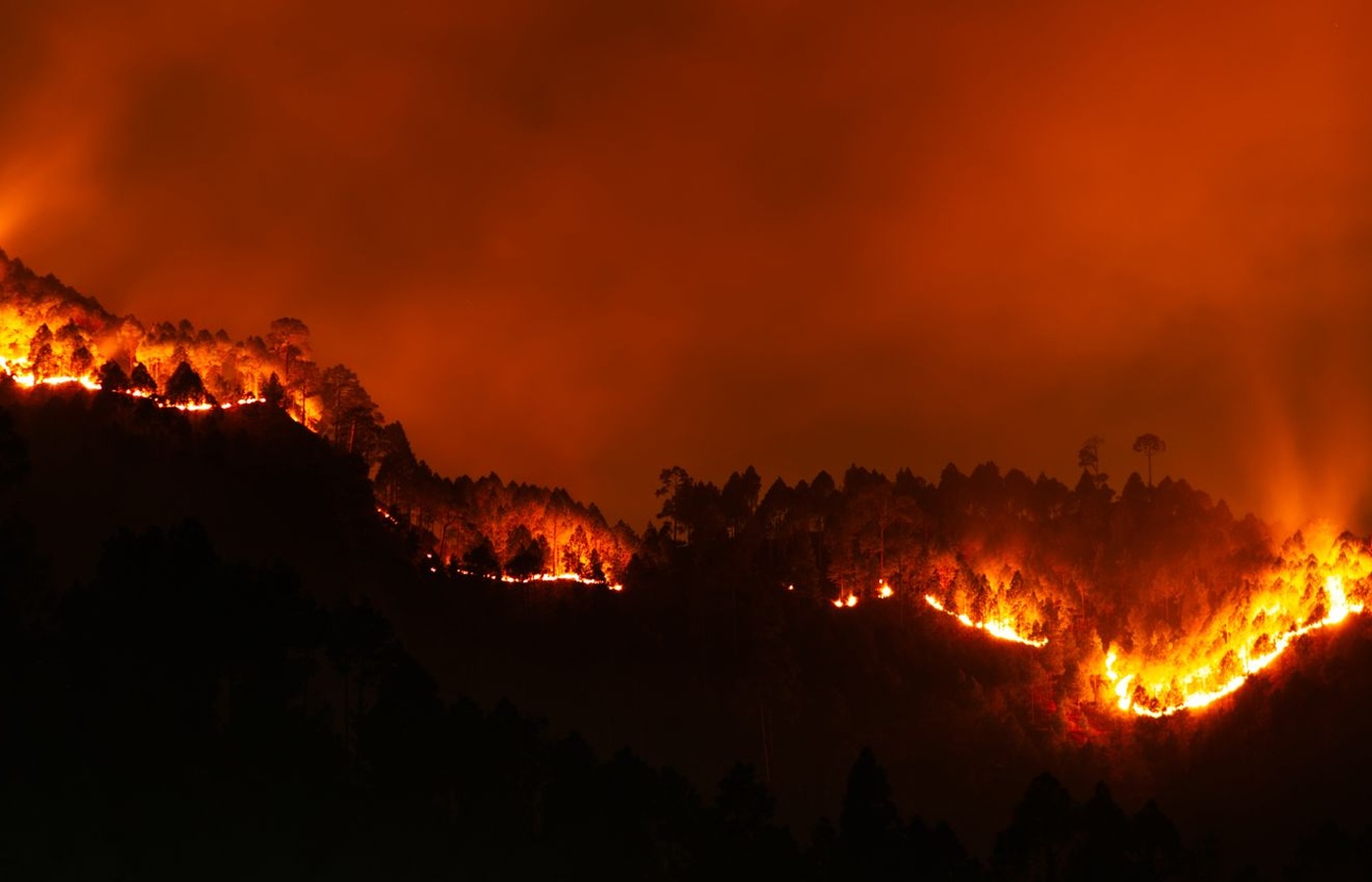 CAL FIRE Fire Captain