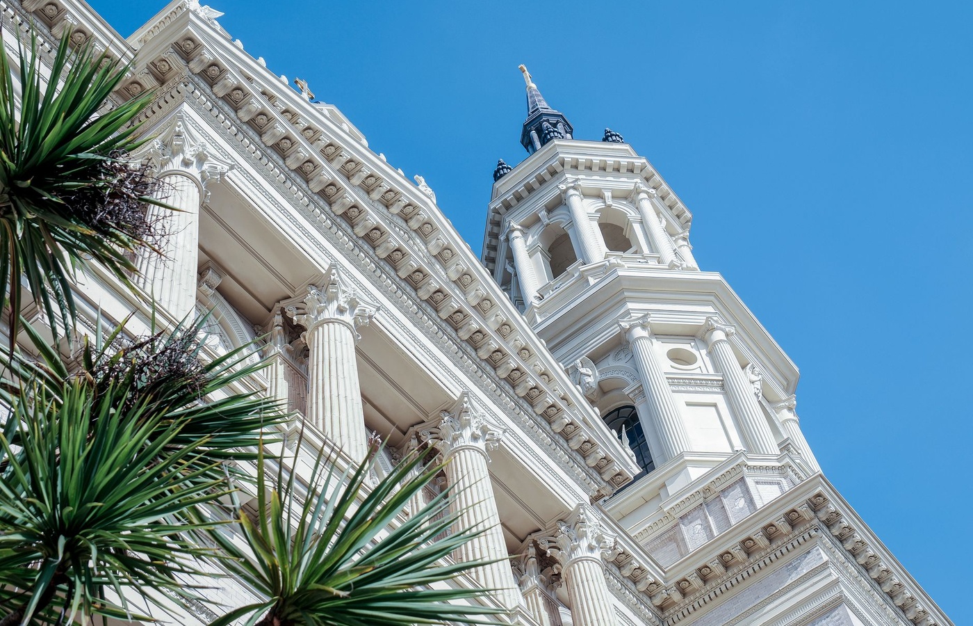 California Funeral Director License