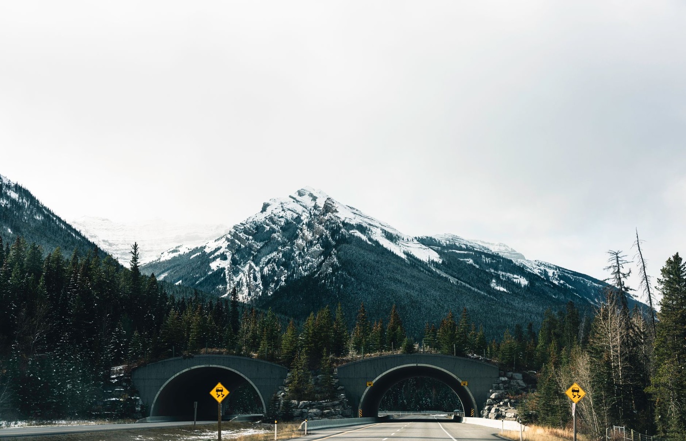 Canadian Border Security (CBSA)
