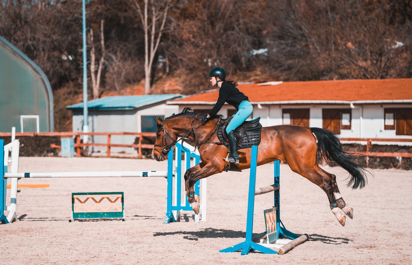 Canadian Pony Club C Level