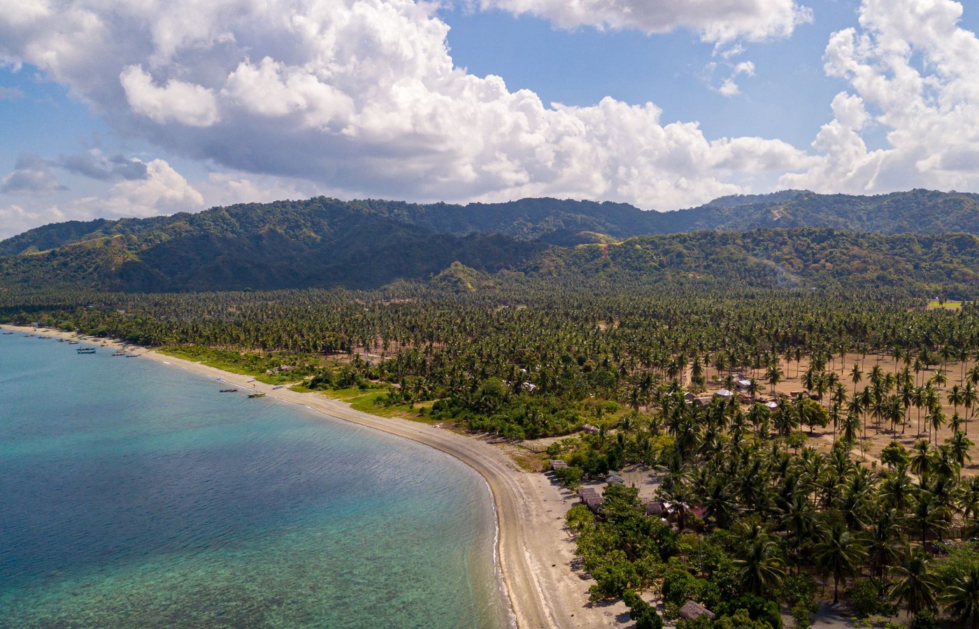Caribbean and Central America