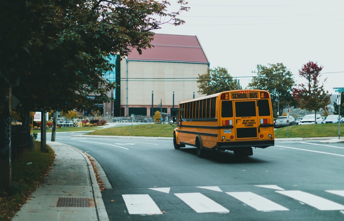 California School Bus Driver Renewal