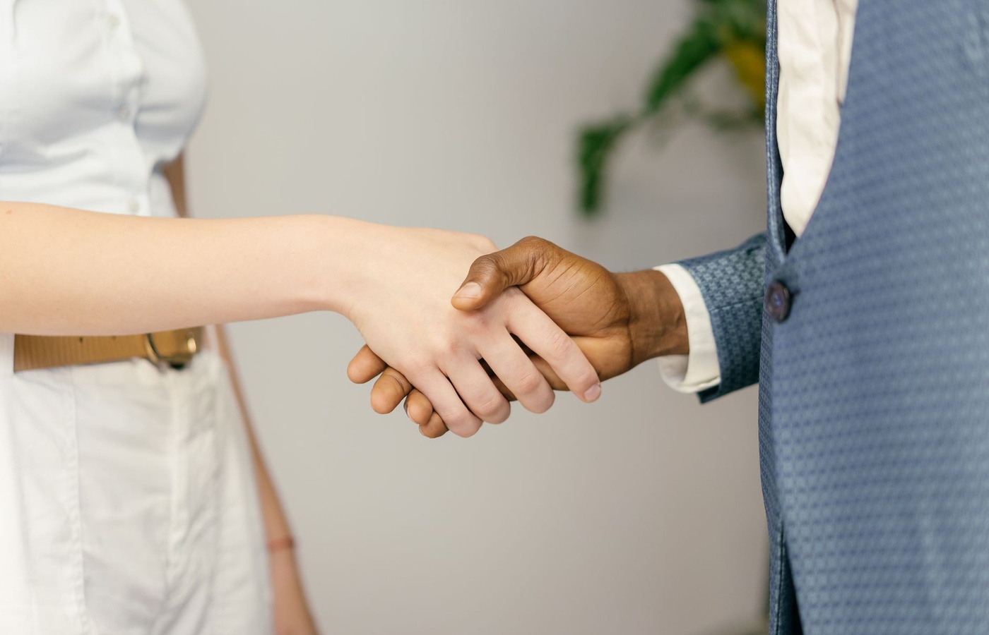 Legal Cases on Agency, Fiduciary Duty, and Corporate Governance